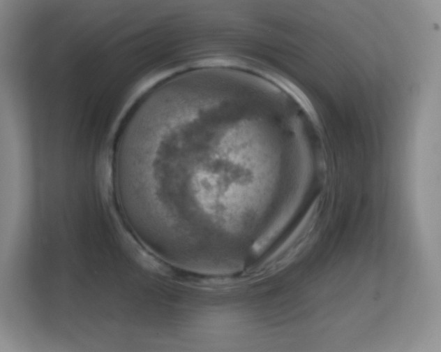 X0000113861000200909241304