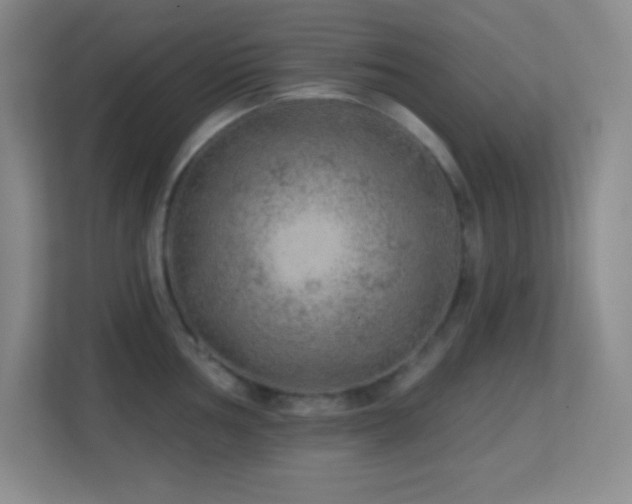 X0000113861002200909241304
