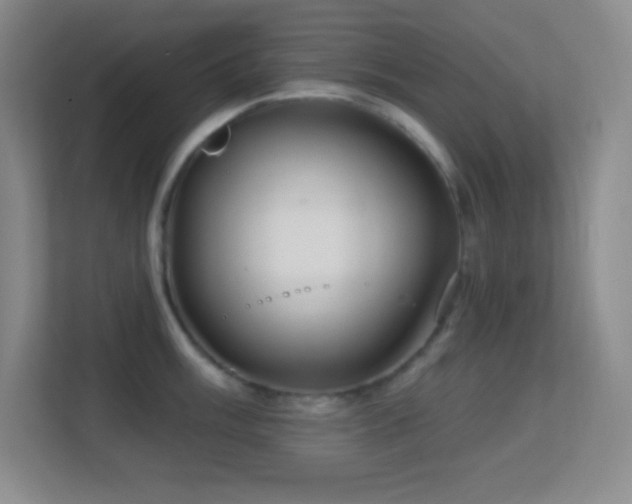 X0000113861003200909241304