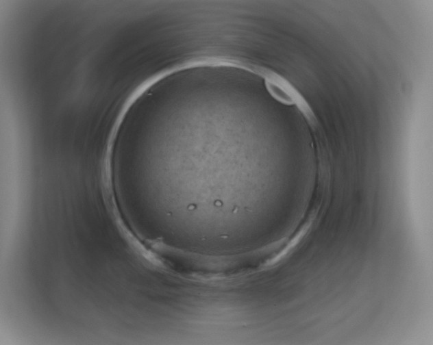 X0000113861004200909241304