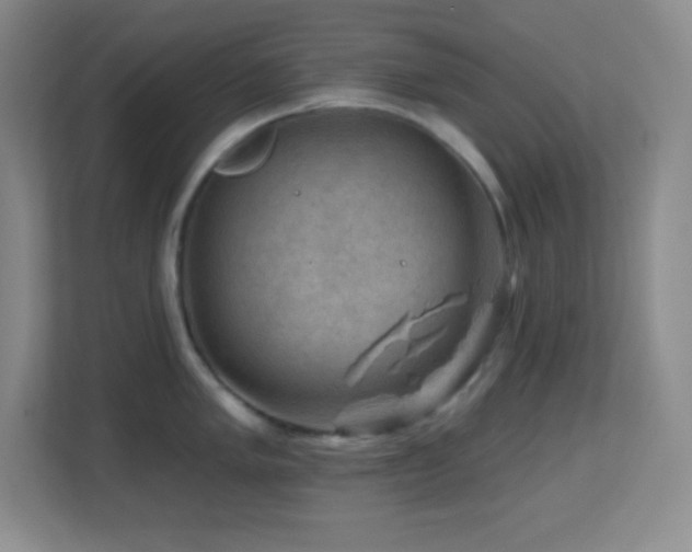 X0000113861005200909241304