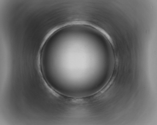 X0000113861006200909241304