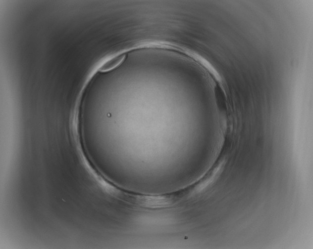 X0000113861007200909241304
