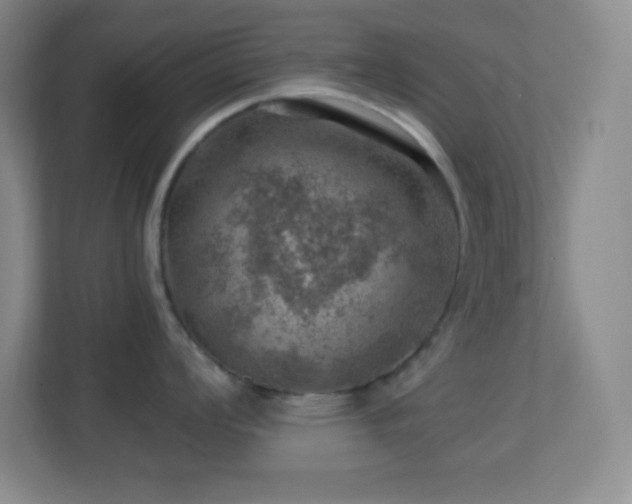 X0000113861008200909241304