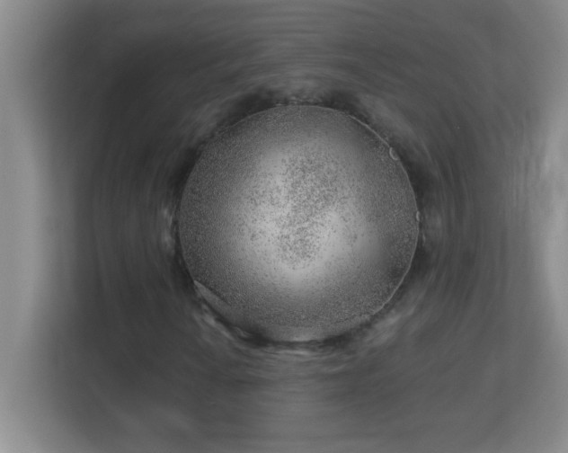 X0000113861010200909241303
