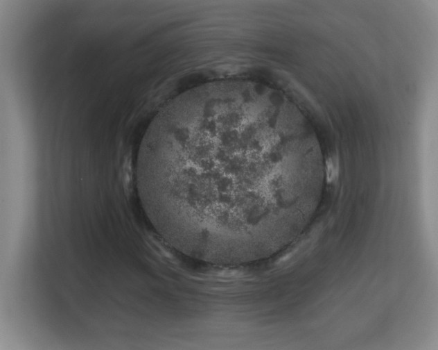 X0000113861011200909241303