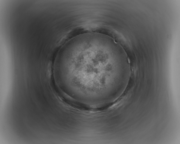 X0000113861012200909241303