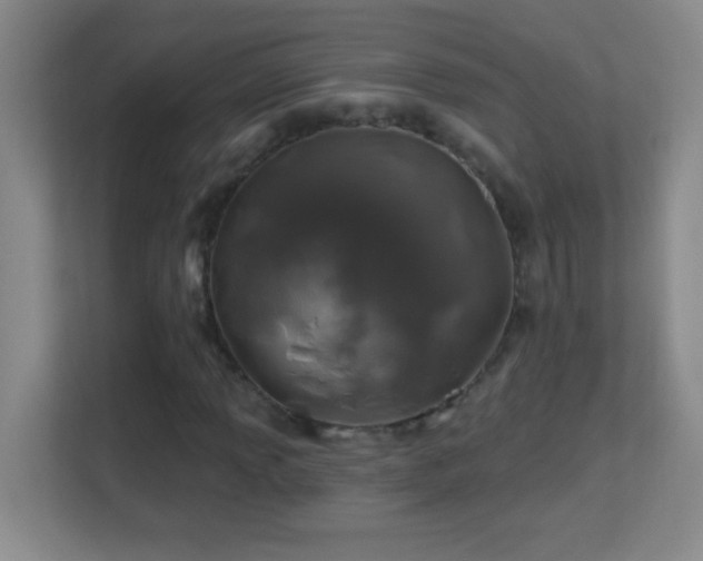 X0000113861013200909241303