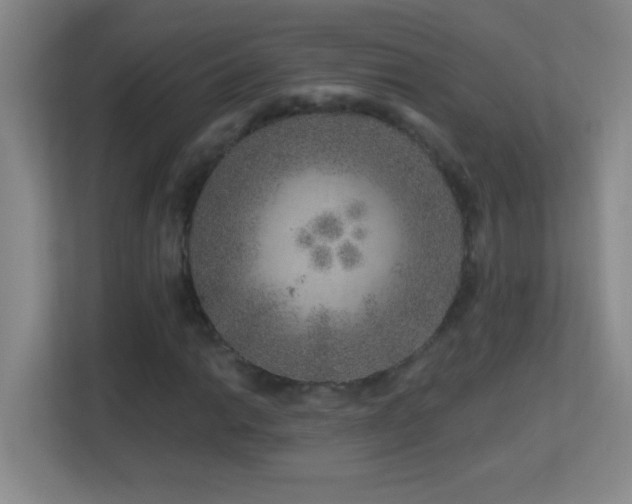 X0000113861014200909241303