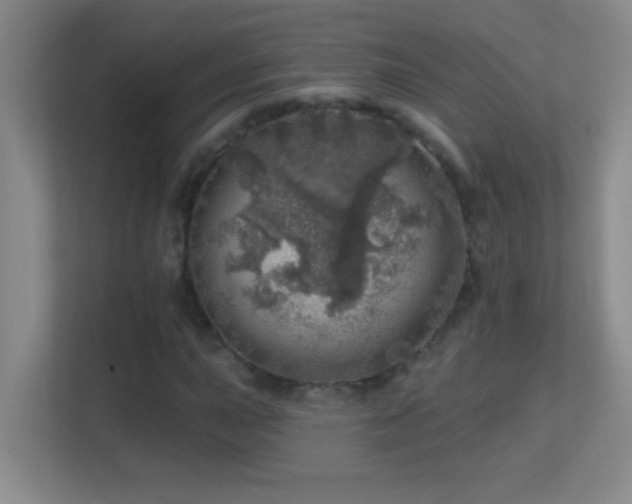 X0000113861015200909241303
