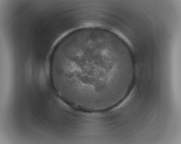 X0000113861021200909241303