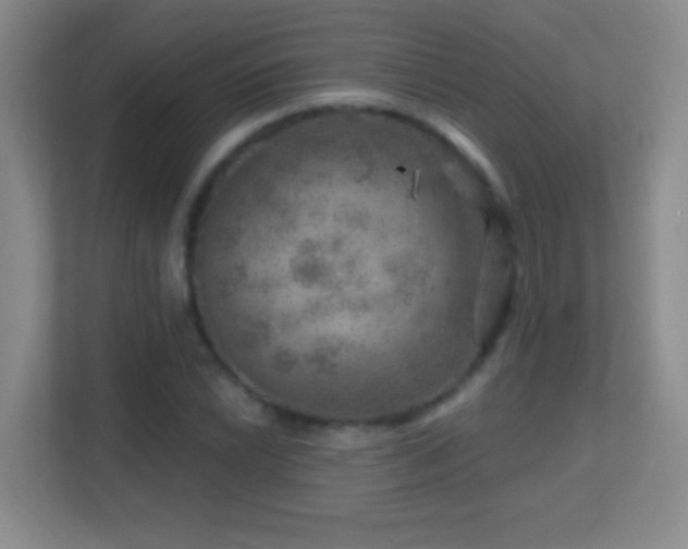 X0000113861022200909241303