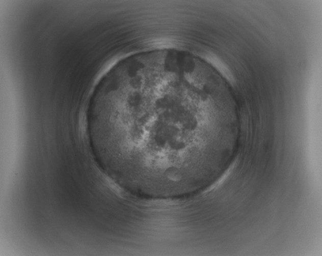 X0000113861023200909241303