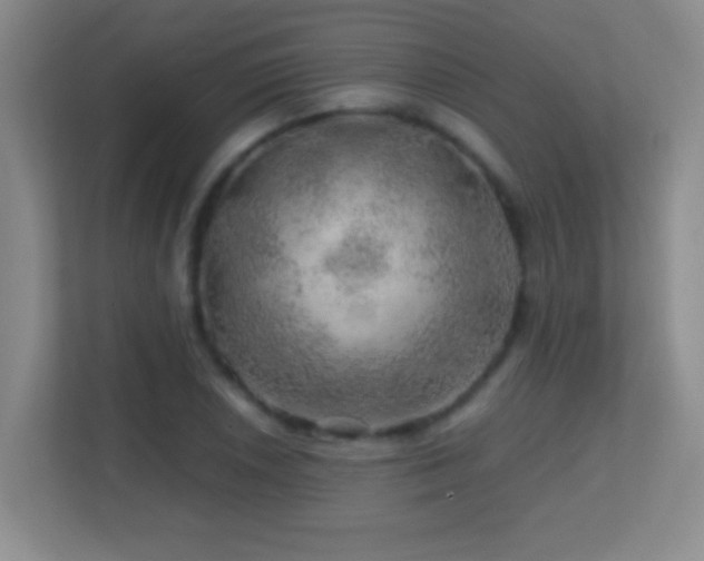 X0000113861026200909241303