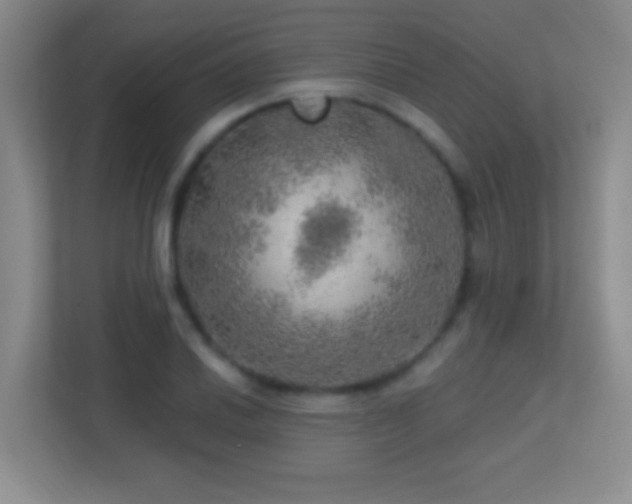 X0000113861030200909241304
