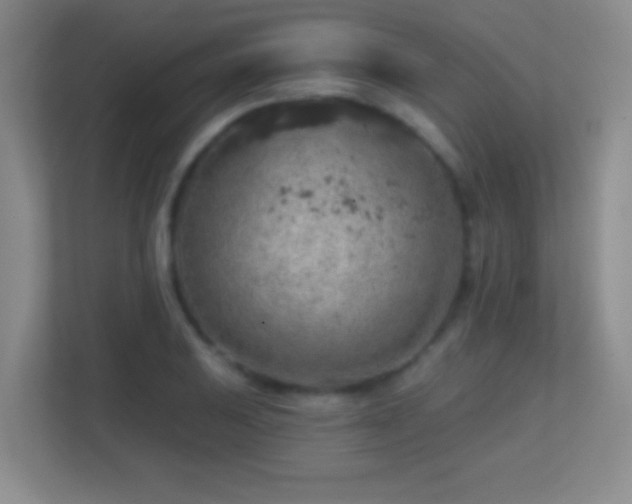 X0000113861031200909241304