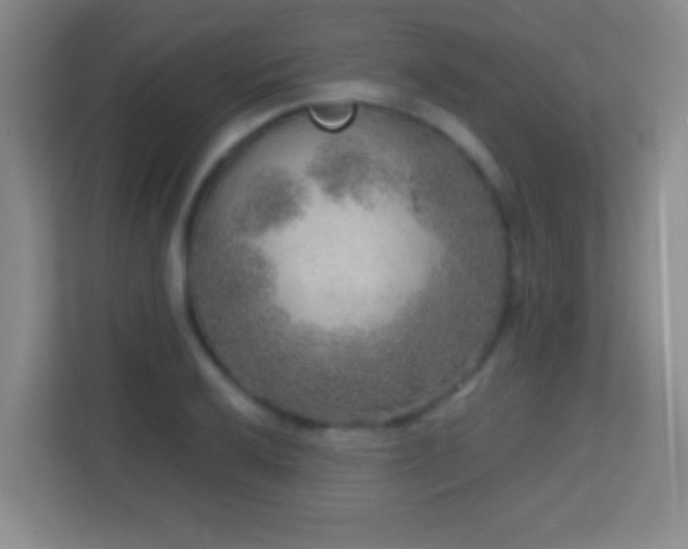 X0000113861032200909241304