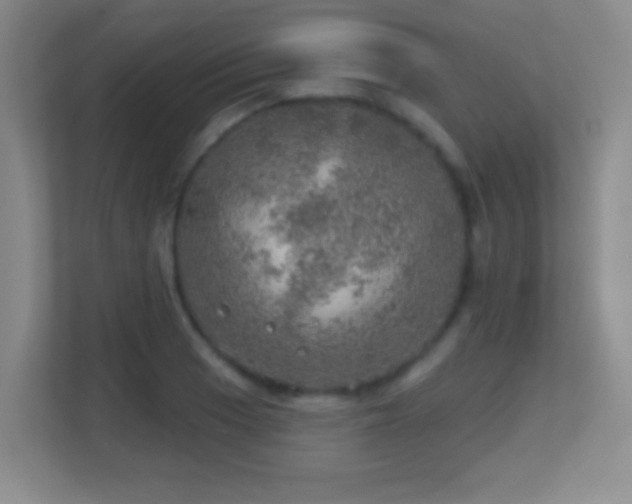 X0000113861033200909241304