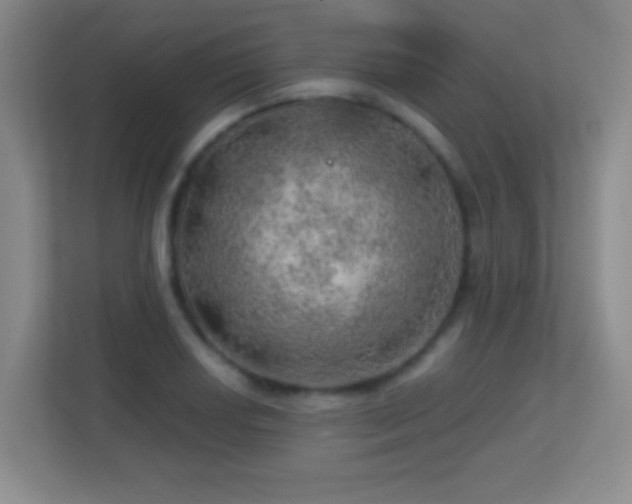 X0000113861034200909241304