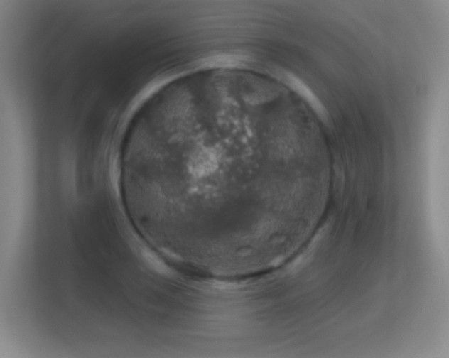 X0000113861035200909241304