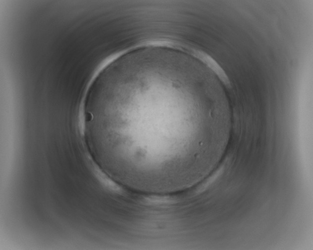 X0000113861036200909241304