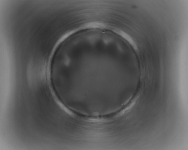 X0000113861037200909241304