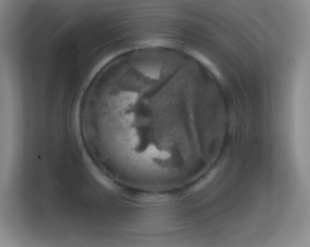X0000113861039200909241304