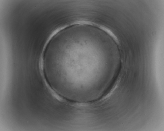 X0000113861040200909241304
