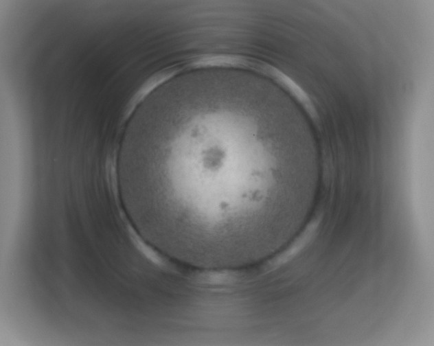 X0000113861041200909241304