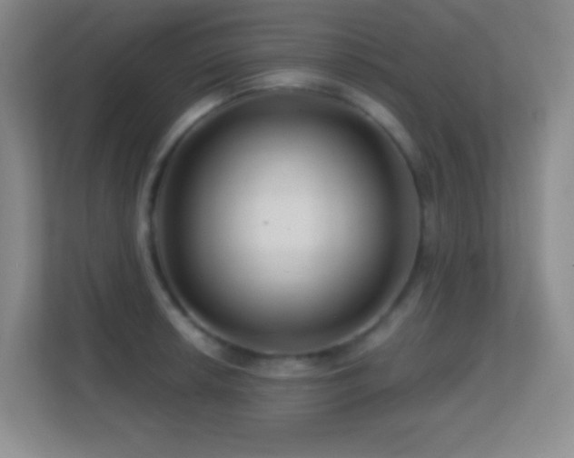 X0000113861042200909241304