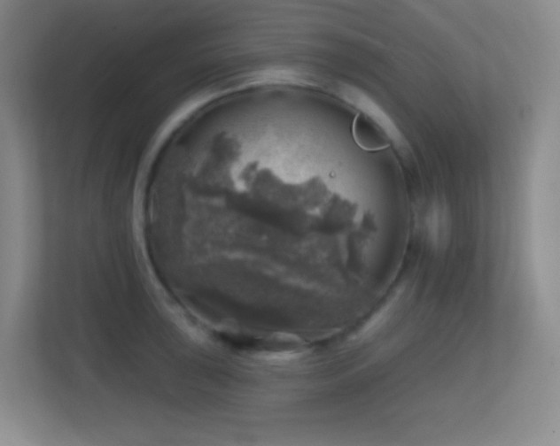 X0000113861043200909241304