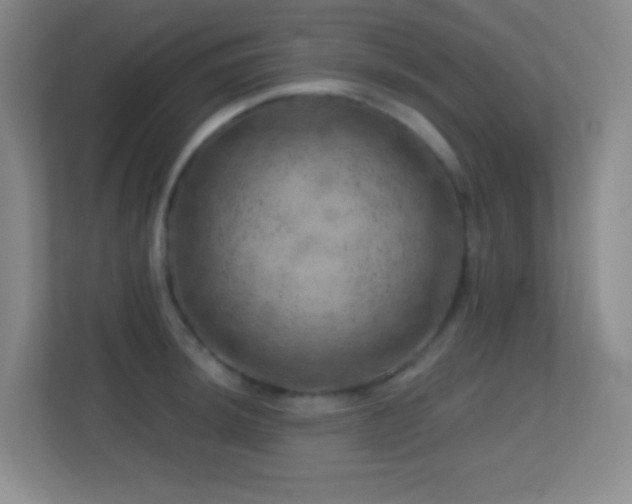 X0000113861044200909241304