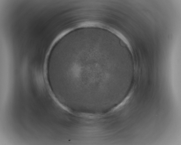 X0000113861045200909241304
