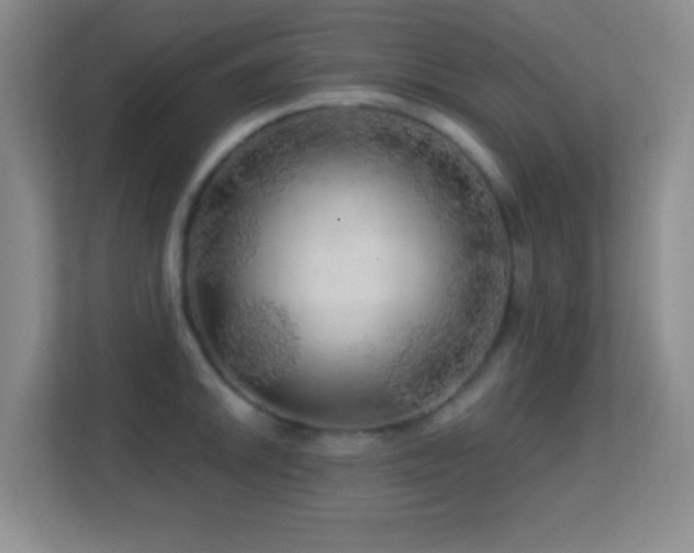 X0000113861046200909241304