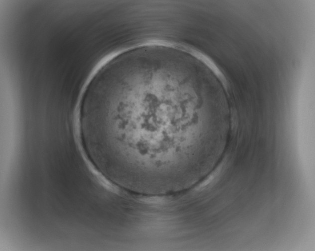 X0000113861048200909241304