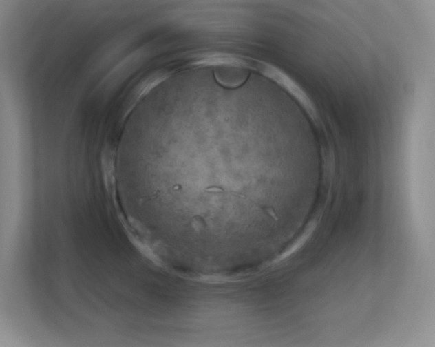 X0000113861049200909241304