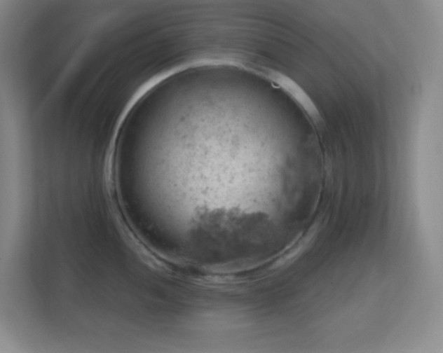 X0000113861052200909241304