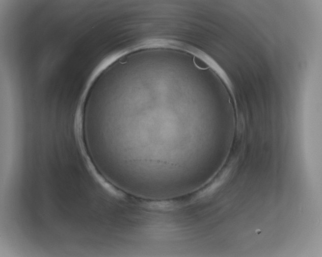 X0000113861053200909241304