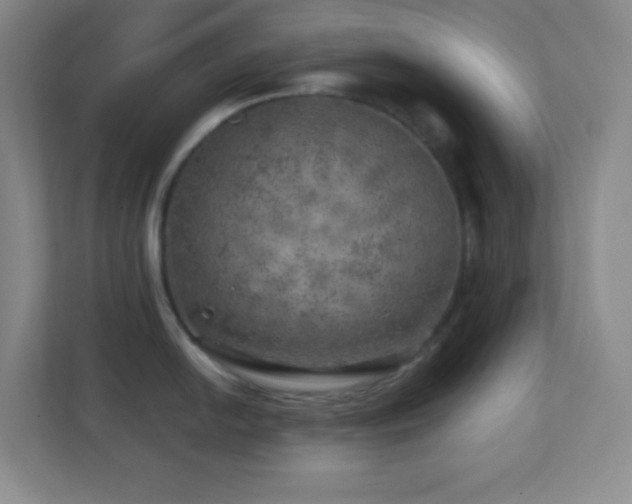 X0000113861054200909241304
