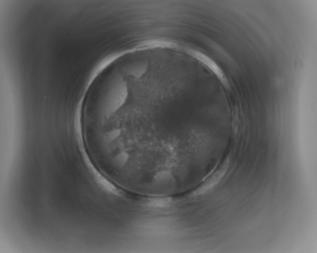 X0000113861055200909241304