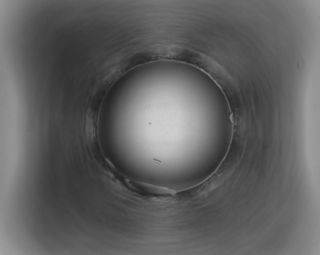 X0000113861058200909241303