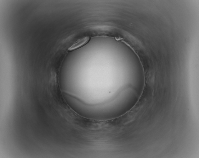 X0000113861061200909241303
