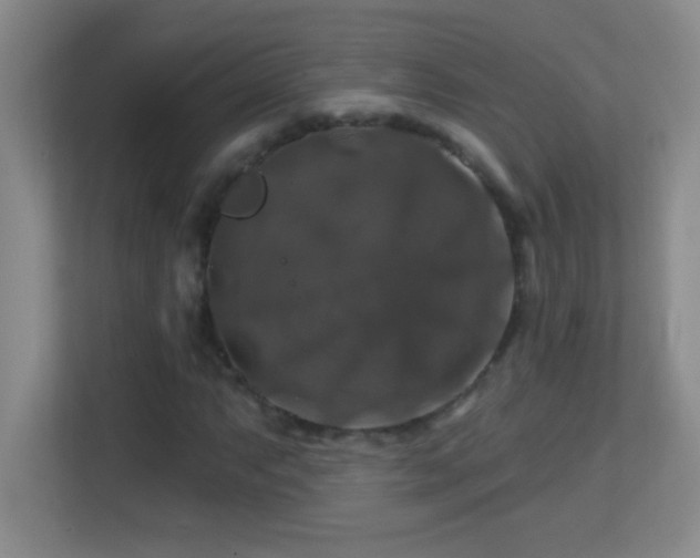 X0000113861063200909241303