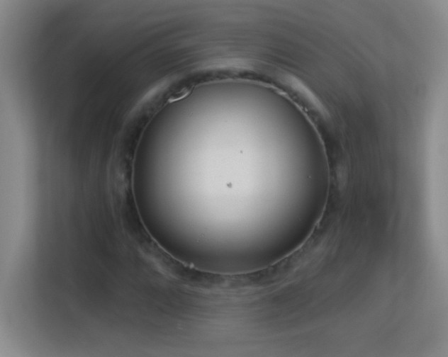 X0000113861064200909241303