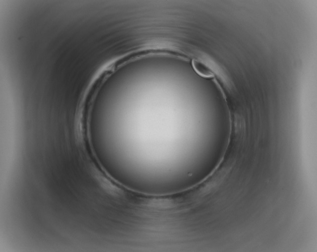 X0000113861068200909241303