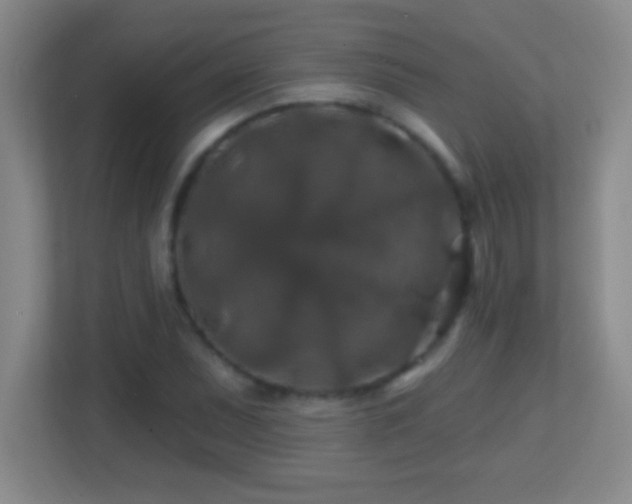 X0000113861071200909241303