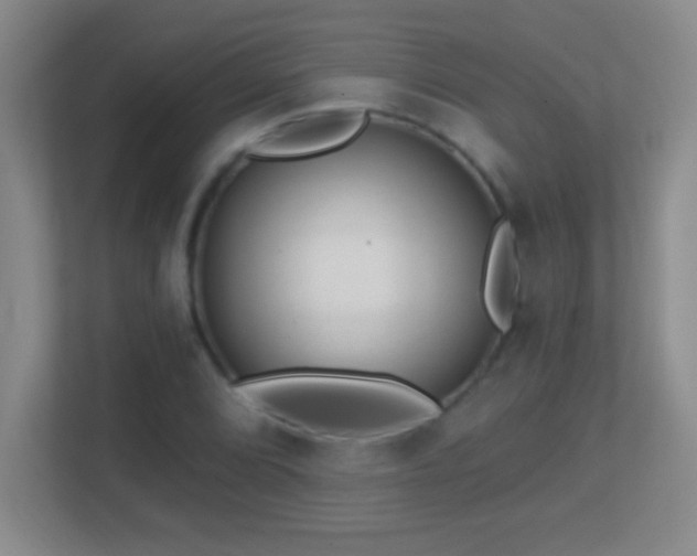 X0000113861072200909241303