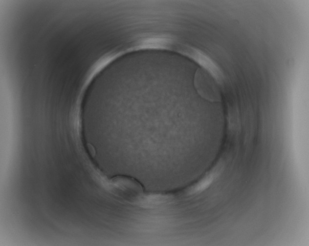 X0000113861077200909241303