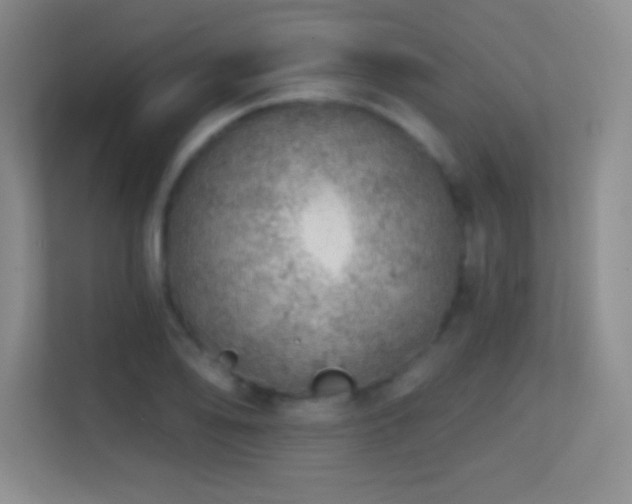 X0000113861078200909241303