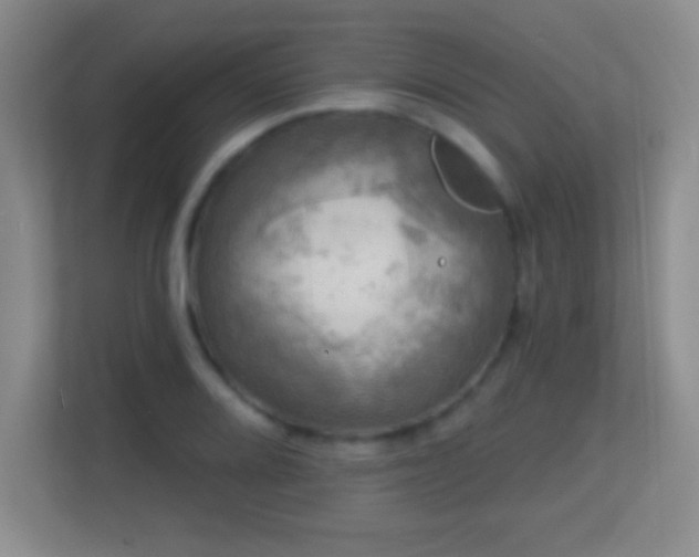 X0000113861080200909241303